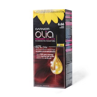 Boja Za Kosu Garnier Olia 6.66
