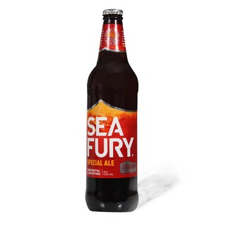 Pivo Sea Fury Special Ale OWB 0,5l