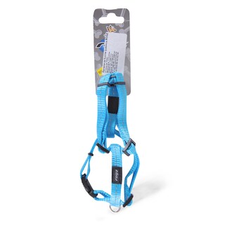 Am klasik S tirkiz plava