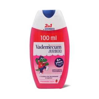 Pasta Jagoda 6+ 2u1 Vdm 100ml