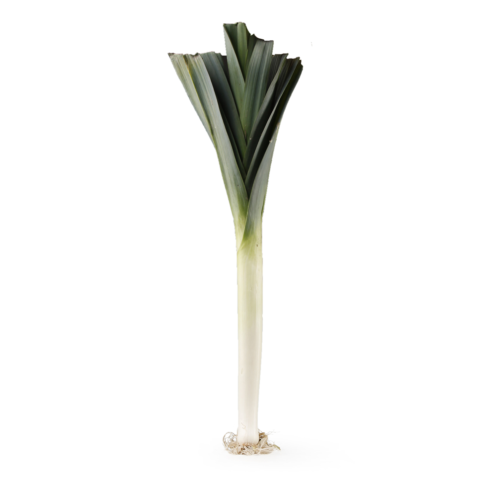 Maxi pijaca