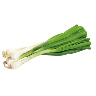 Luk crni mladi Srebrenjak