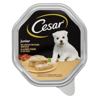 Hrana za pse curka,teletina posuda Cesar Junior 150g