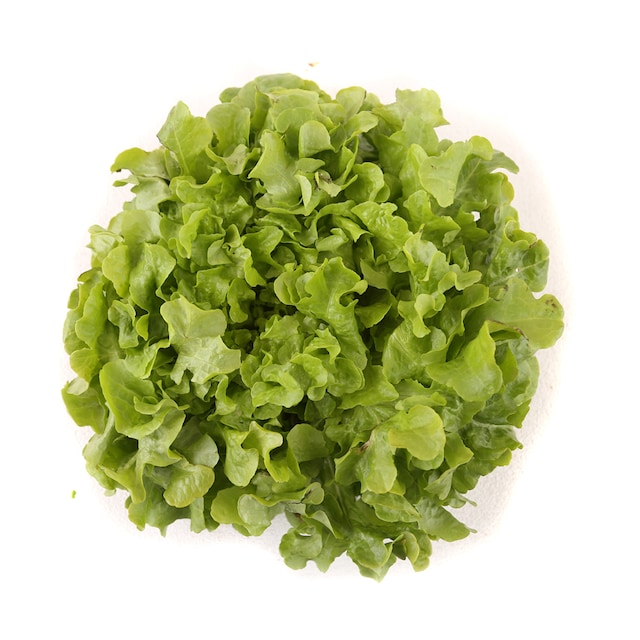 Salata Puterica 1 komad