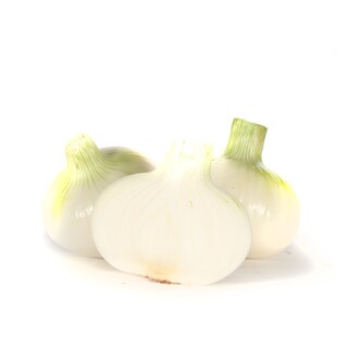 Luk crni sutka domaci