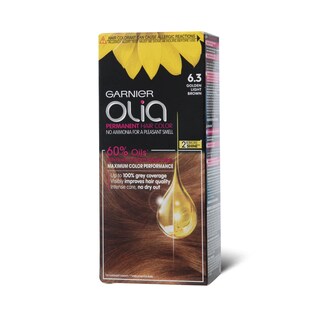 Boja Za Kosu Garnier Olia 6.3