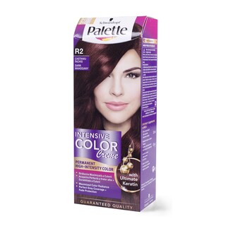 Farba za kosu Palette ICC R2