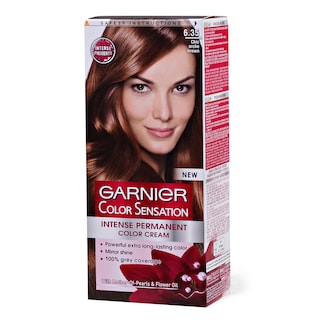 Farba/kosu Chic brown Garnier 6.35