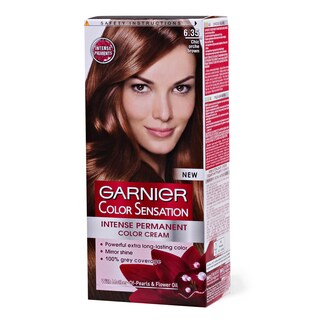 Farba/kosu Chic brown Garnier 6.35