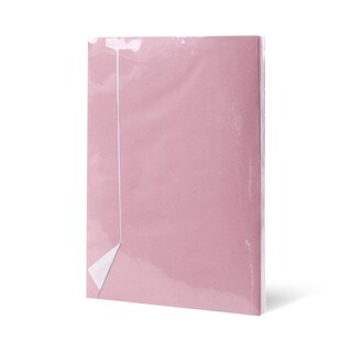 Koverta B5 SL PI WiBo 50/1 21371M