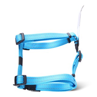 Am klasik M tirkizno plavi RSJ11F