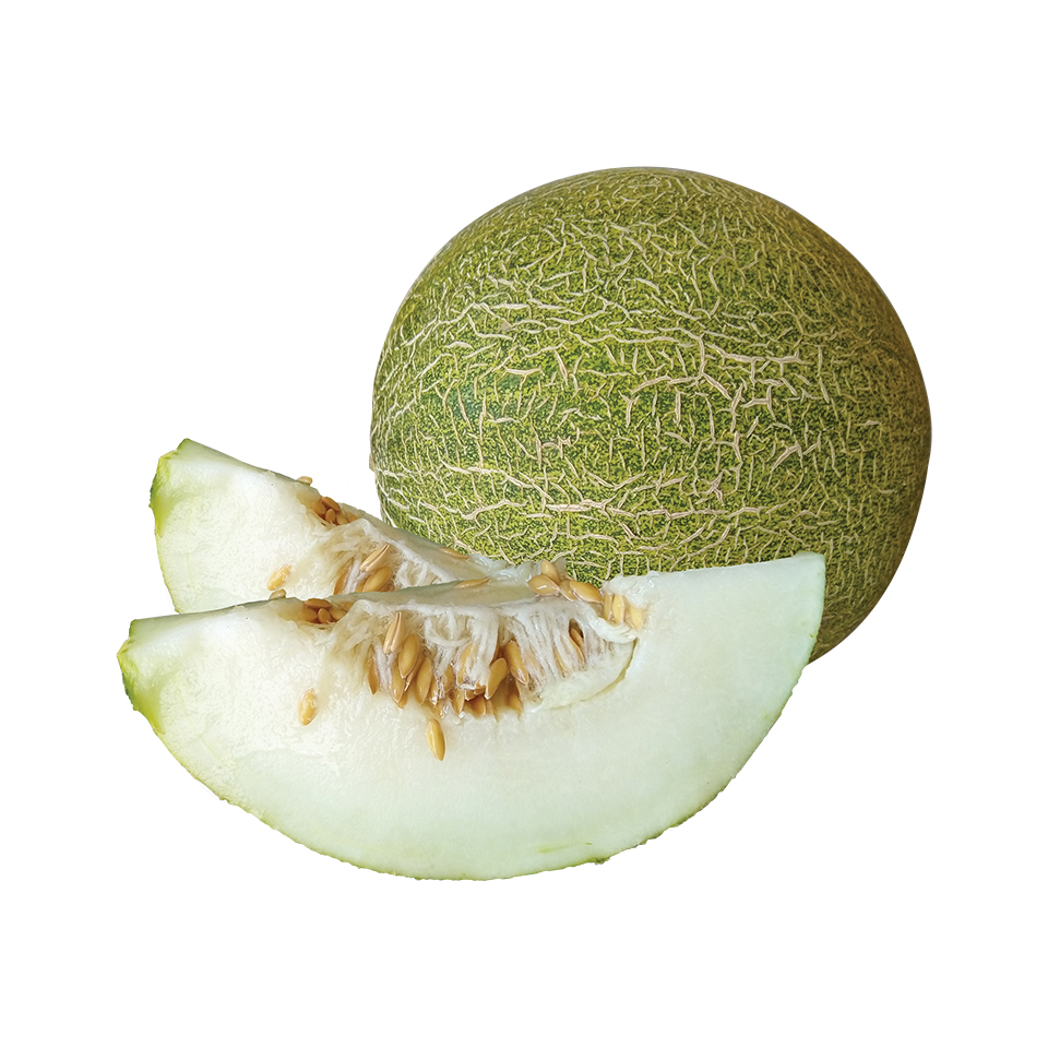 Dinja limun domaca