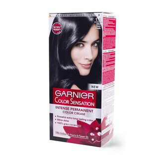Farba/kosu onyx black Garnier 1.0