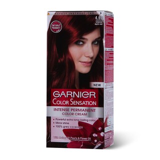 Farba/kosu red brown Garnier Rosal 4.60