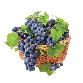 Grozdje crno-Hamburg Muskat