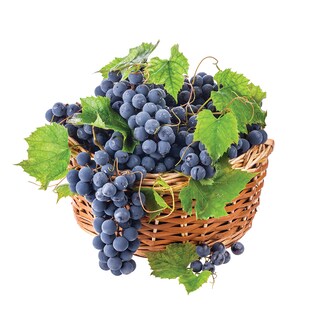 Grozdje crno-Hamburg Muskat