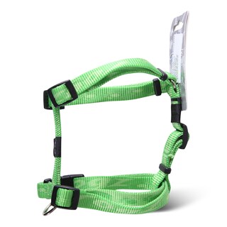 Am klasik M limun zeleni RSJ23G