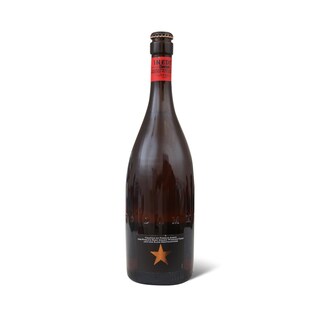 Pivo Estrella Damm Inedit 0.75l