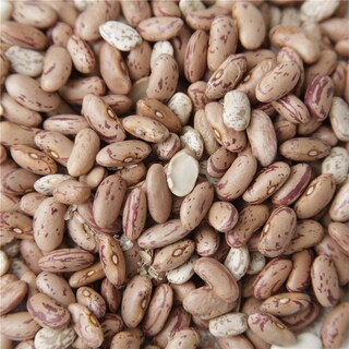 Pasulj sareni domaci