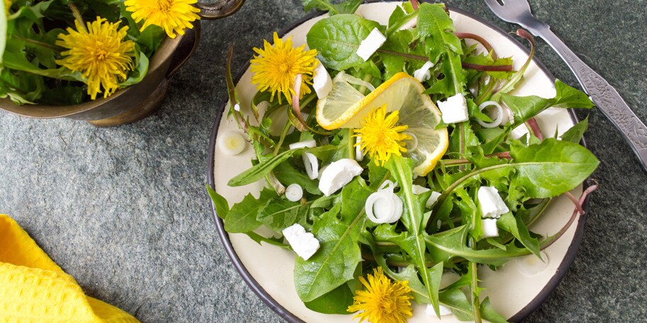 Maslačak salata sa sirom i lukom