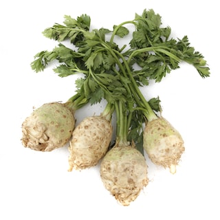 Celer koren sa listom domaci