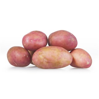 Krompirici crveni domaci