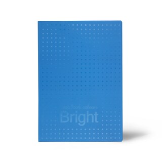 Sveska TP A4 dik 96+2L Onecolor SC434