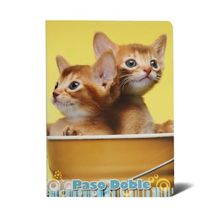 Sveska A5 dikto Blasetti 52l 80g