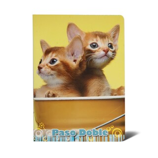 Sveska A5 dikto Blasetti 52l 80g