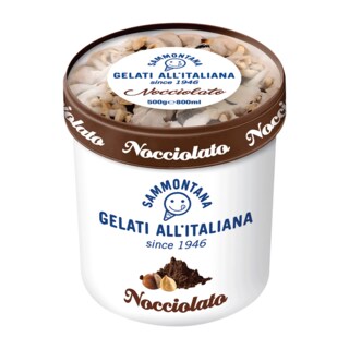 Slad.9636 Nocciolato Barattolino 500g