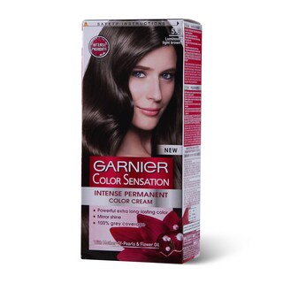 Farba/kosu Light brown Garnier 5.0