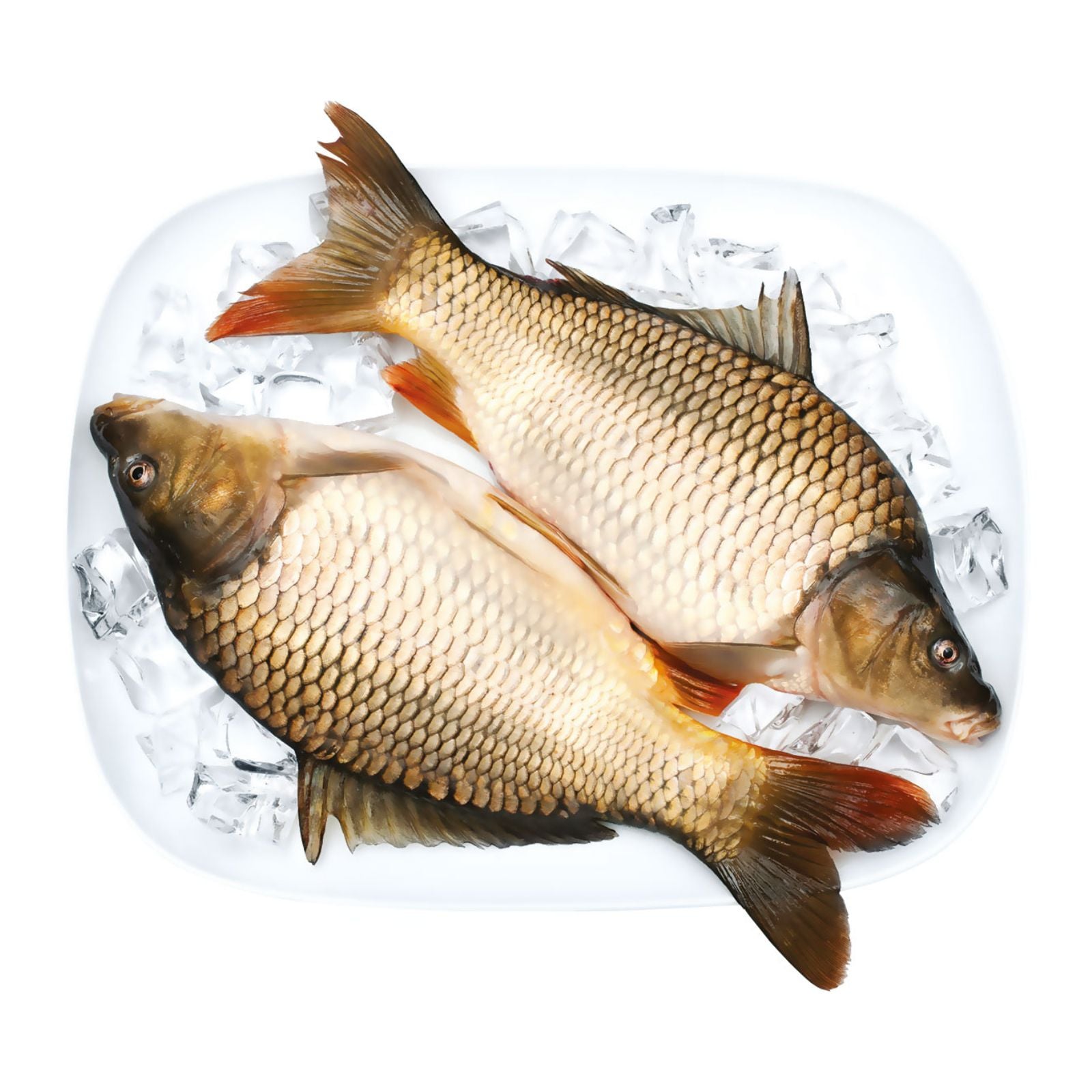 Maxi ribarnica pakovana riba | Saran ociscen vakuum Vasovic | Maxi