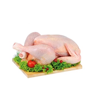 Domace pilece meso gril SM