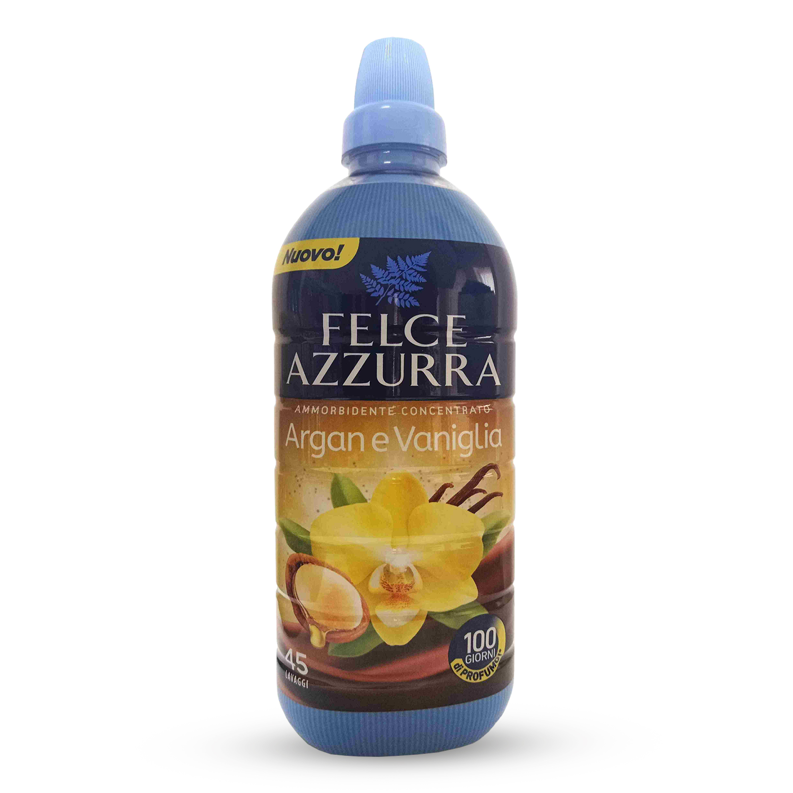 Felce Azzurra